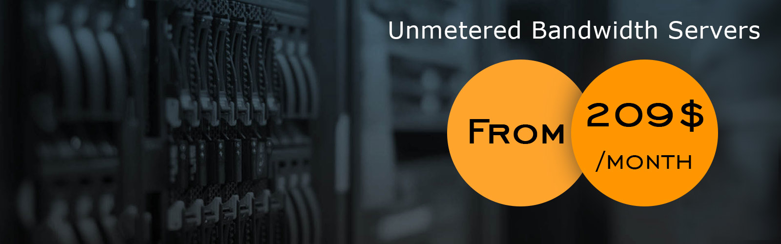 Unmetered Bandwidth Servers